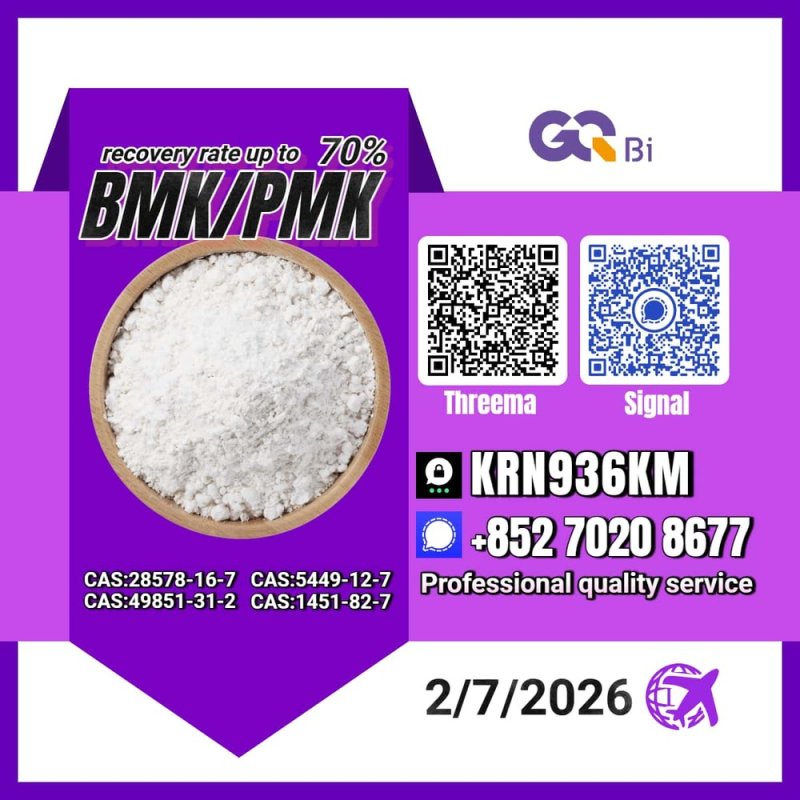 New PM.K 28578-16-7/ BM.K CAS:5449-12-7/ End-to-End Service