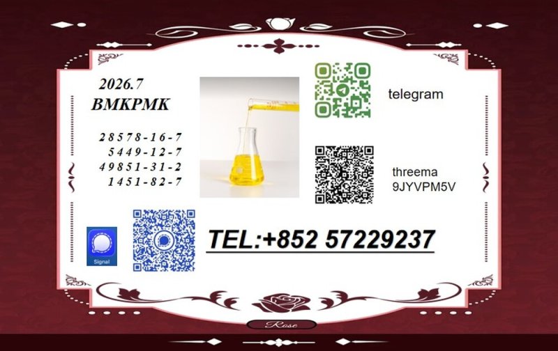 BMK 5449-12-7 PMK 28578-16-7 Supply Chain and Logistics Advantage