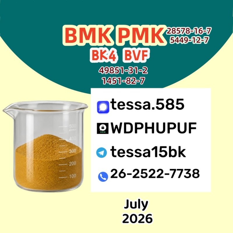 High-Grade powder PMK CAS 28578-16-7 99% High Purity Bulk Chemical Supplier