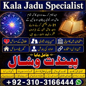 Amil Baba love Relationship Problem Solution 03103166444 amil baba in karachi dubai no1 amil baba #kala jadu