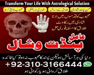 love Relationship Problem Solution 03103166444 amil baba in karachi dubai no1 amil baba #kala jadu