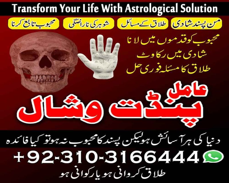 love Relationship Problem Solution 03103166444 amil baba in karachi dubai no1 amil baba #kala jadu
