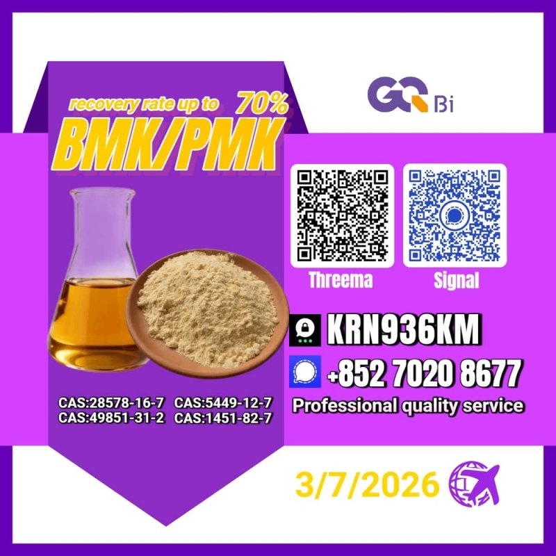 New PM.K 28578-16-7/ BM.K CAS:5449-12-7/ Flexible Order Options