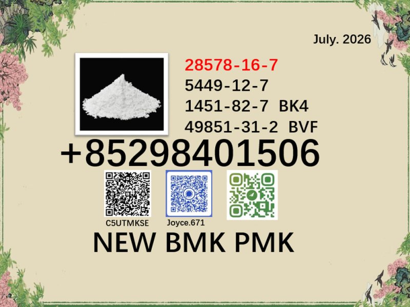 Continuous supply cas 544-12-7 BMK PMK Powder 28578-16-7
