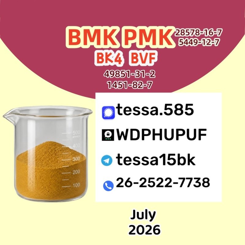 PMK (CAS 28578-16-7) Chemical | Bulk Manufacturer & Wholesale Supplier