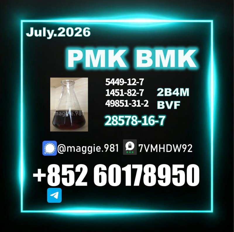CAS 28578-16-7 PM.K B.MK Sample Available
