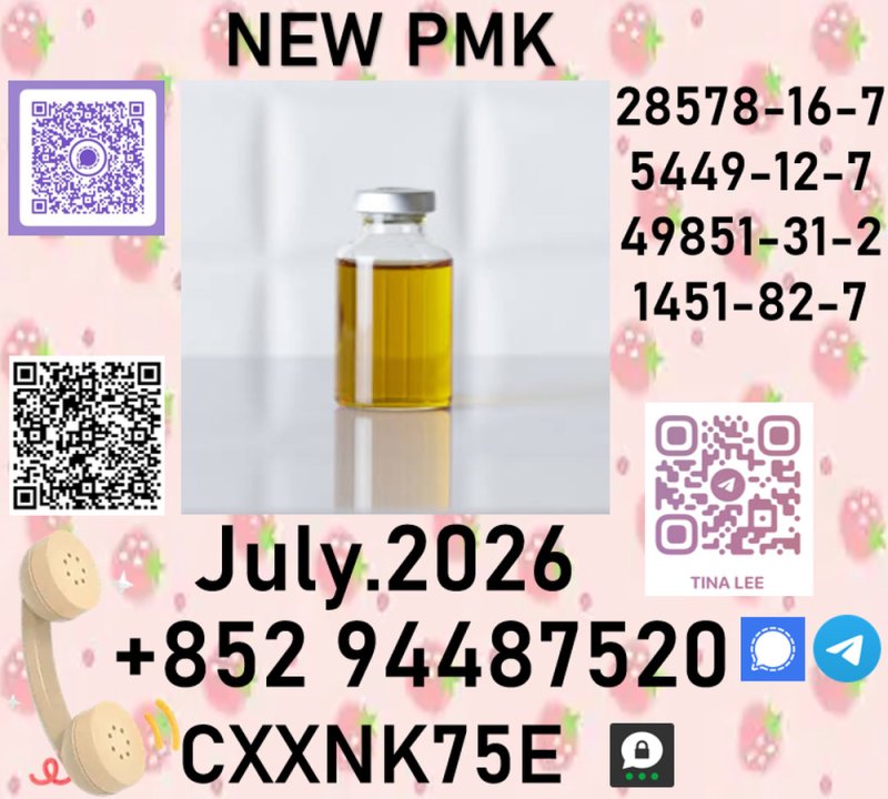 28578-16-7 Source factory procaine