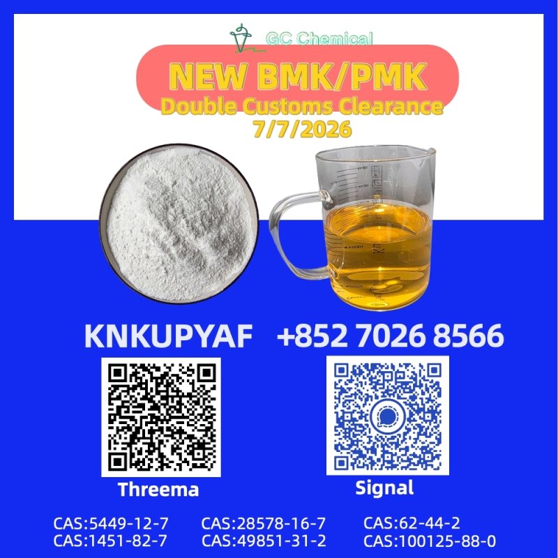 PMK Oil 28578-16-7 advanced warehousing strengthens