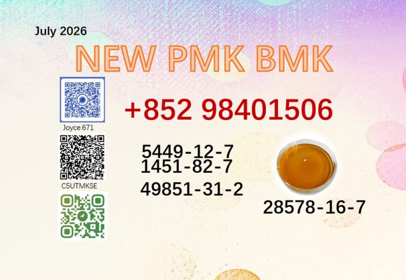 Riginal Manufacturer CAS 28578-16-7 BMK Powder 5449-12-7 PMK Oil 1451-82-7/ 49851-31-2