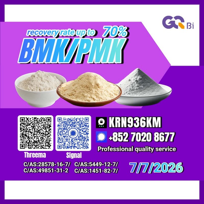 New PM.K 28578-16-7/ BM.K CAS:5449-12-7/ Fast Global Delivery