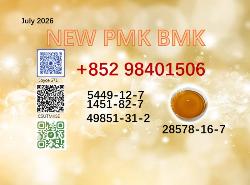 CAS 28578-16-7 and 5449-12-7 quality certified 1451-82-7/ 49851-31-2 BMK powder PMK oil