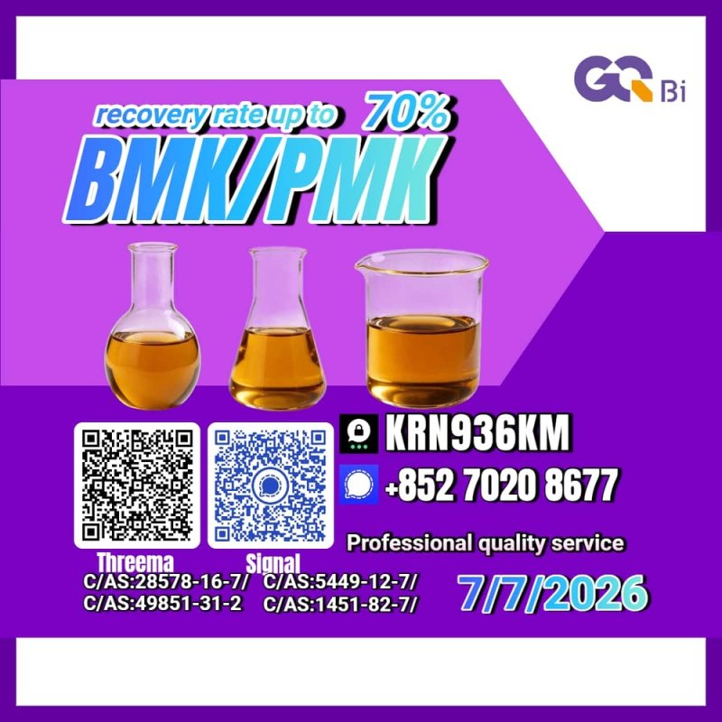 New PM.K 28578-16-7/ BM.K CAS:5449-12-7/ Export Ready Stock