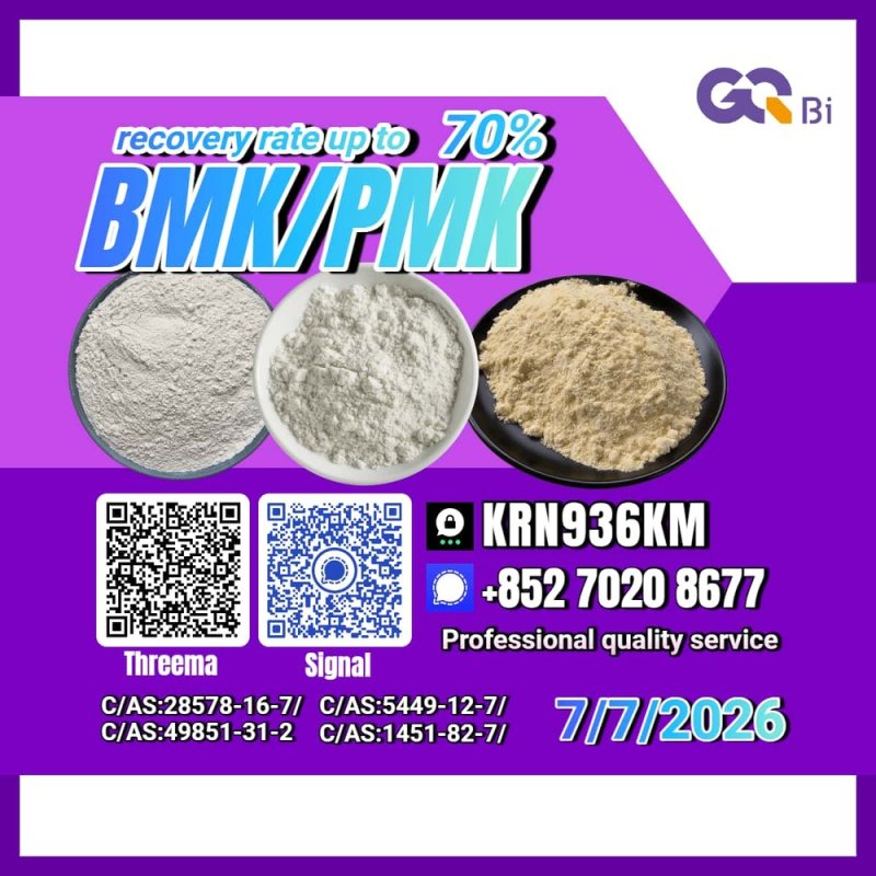 New PM.K 28578-16-7/ BM.K CAS:5449-12-7/ Competitive Factory Price