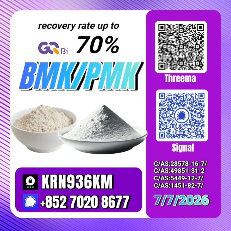 New PM.K 28578-16-7/ BM.K CAS:5449-12-7/ Secure Worldwide Shipping