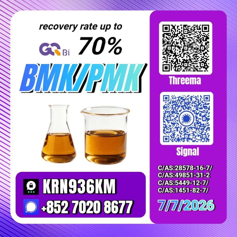 New PM.K 28578-16-7/ BM.K CAS:5449-12-7/ Flexible Packaging Options