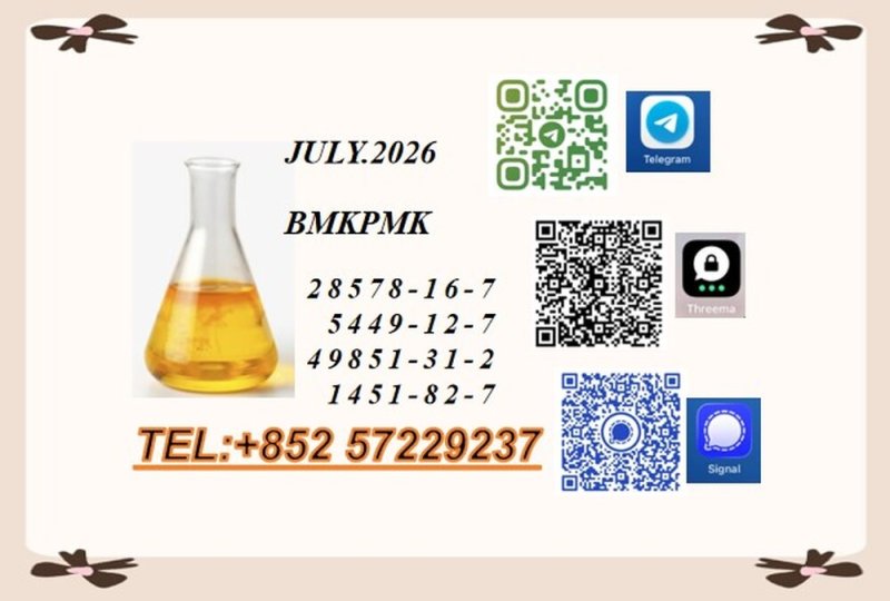 CAS 28578-16-7 PMK Reliable Factory Supply