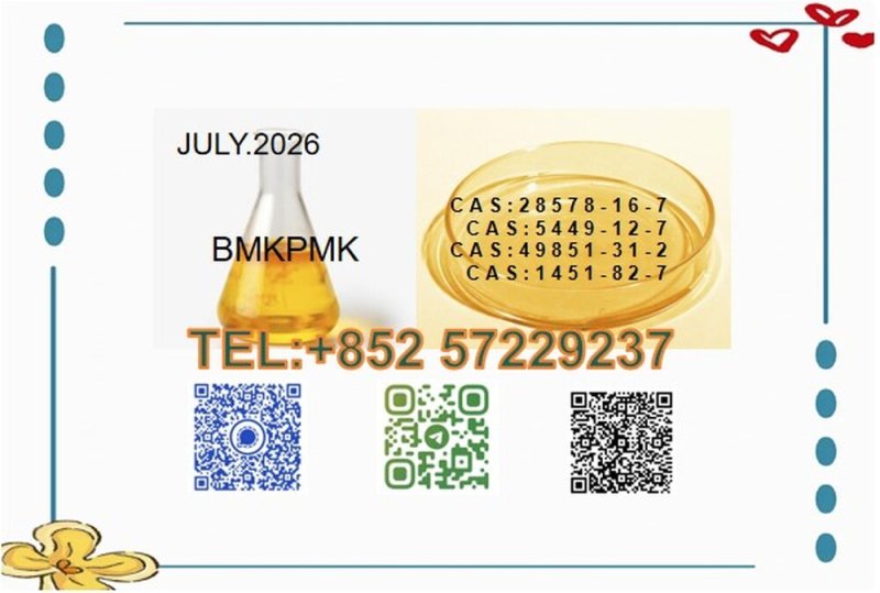 Empowering Your Synthesis Projects BMK 5449-12-7 PMK 28578-16-7