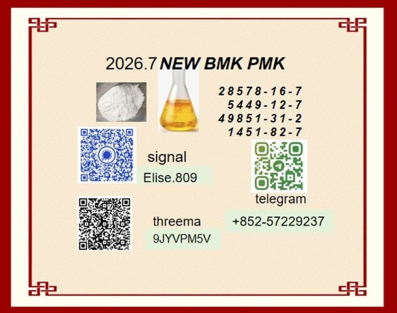 Leading Chemical Intermediate Supplier: 28578-16-7 / 5449-12-7 Ready to Ship