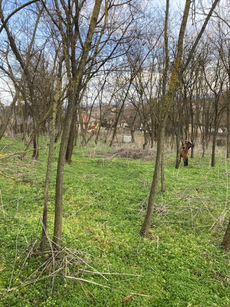 Panorámás telek eladó
