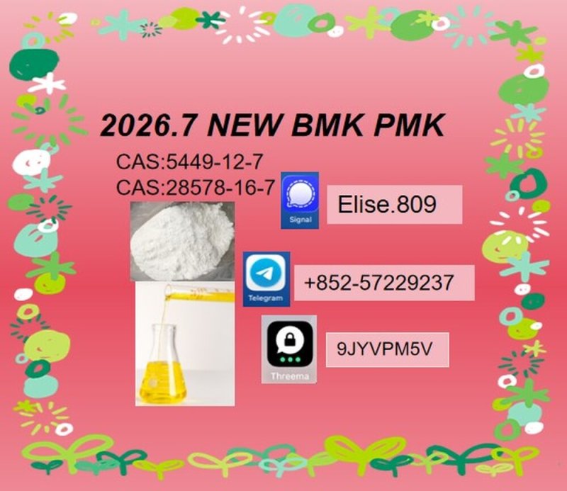 BMK 5449-12-7 PMK 28578-16-7 Need a Stable Raw Material Supplier