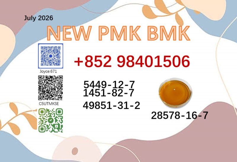 cas 28578-16-7 powder 5449-12-7 BMK PMK1451-82-7and 49851-31-2 for multiple use