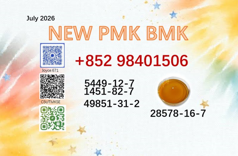 CAS 5449-12-7 BMK CAS 28578-16-7 channels PMK hot sale