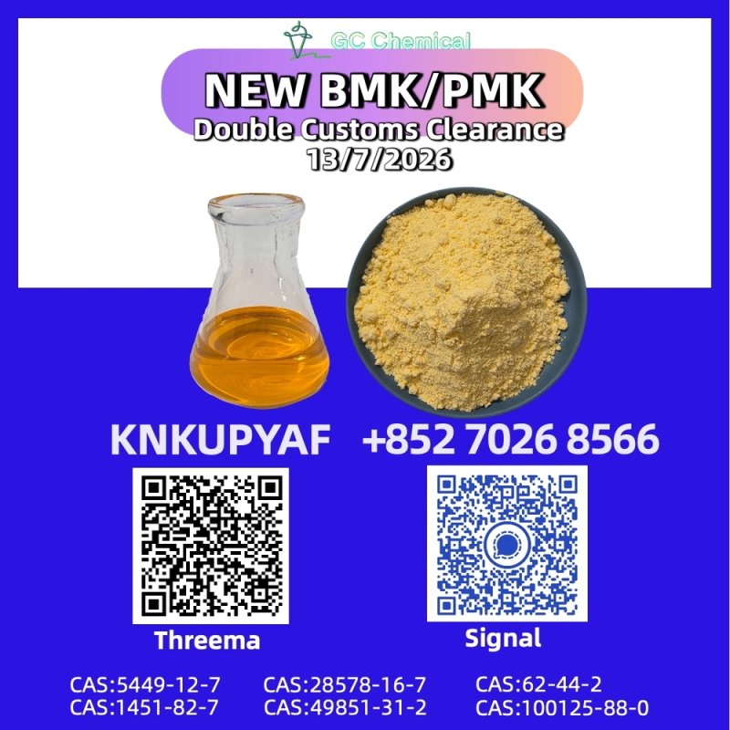 Collective progress BMK CAS 5449-12-7 enhances output
