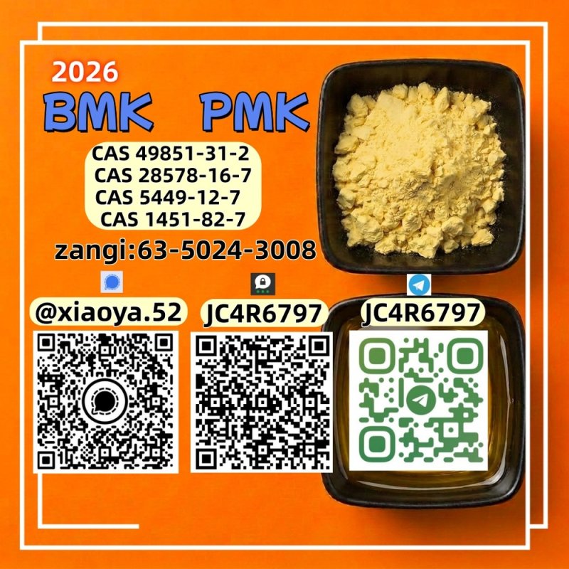 For Sale: Cas 28578-16-7 BMK Powder Cas 5449-12-7 PMK