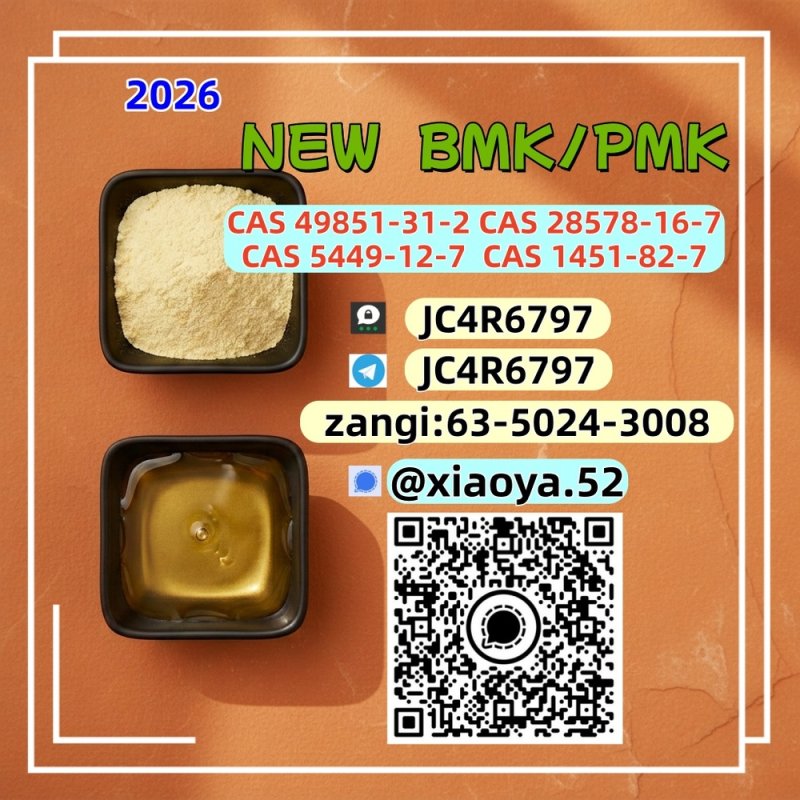 NEW PMK BMK CAS 28578-16-7  CAS 5449-12-7 Supply