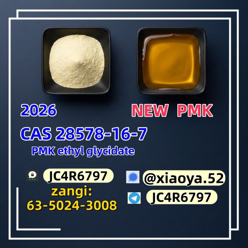 CAS 28578-16-7 PMK Ethyl Glycidate Organic PMK Powder