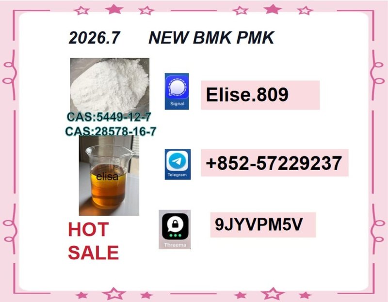 ethyl glycidate CAS 28578-16-7 for internal quality approval