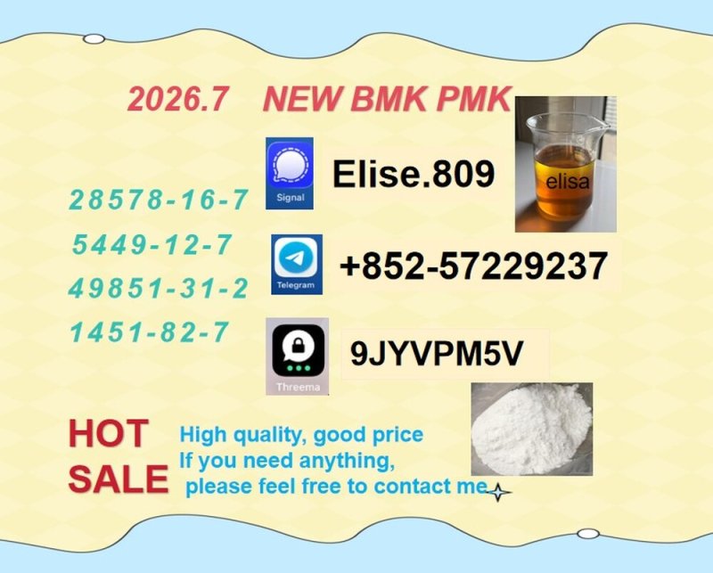 Reliable Versatile PMK cas 28578-16-7 hot sale
