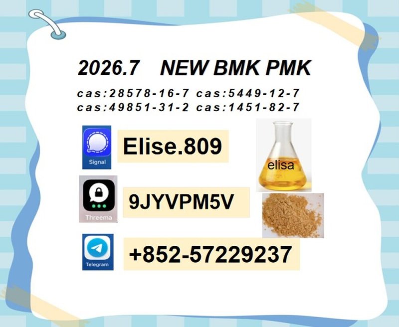 Groundbreaking BMK 5449-12-7 PMK 28578-16-7 Chemical raw materials