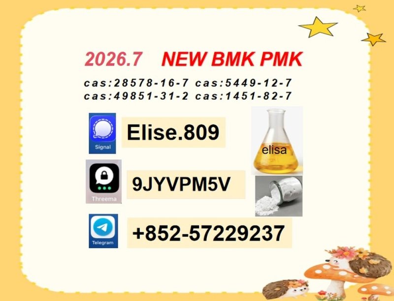 State-of-the-art Unique Focus on Supply BMK 5449-12-7 PMK 28578-16-7