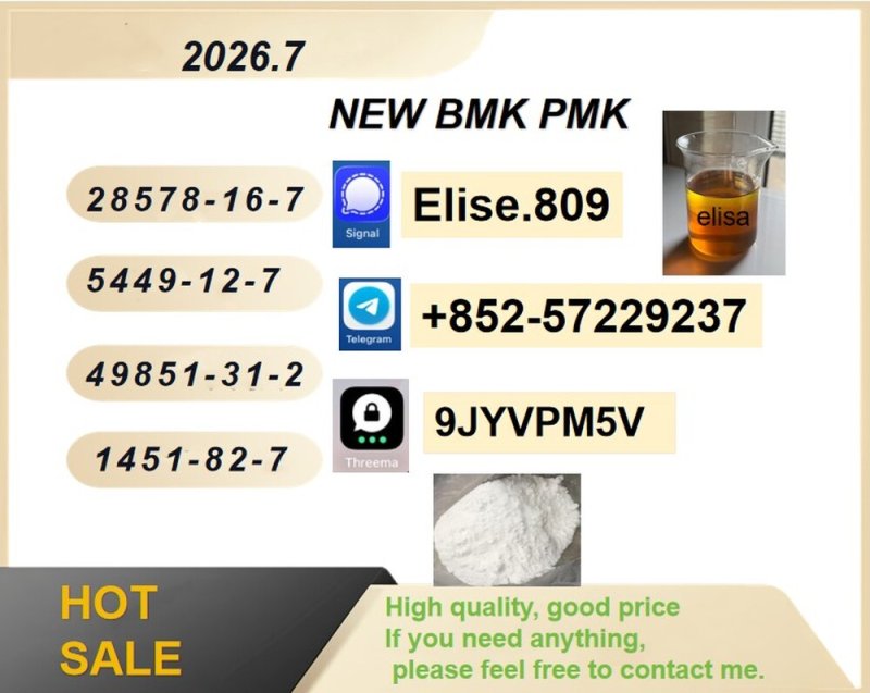 BMK 5449-12-7 PMK 28578-16-7 Visionary Cost-effective