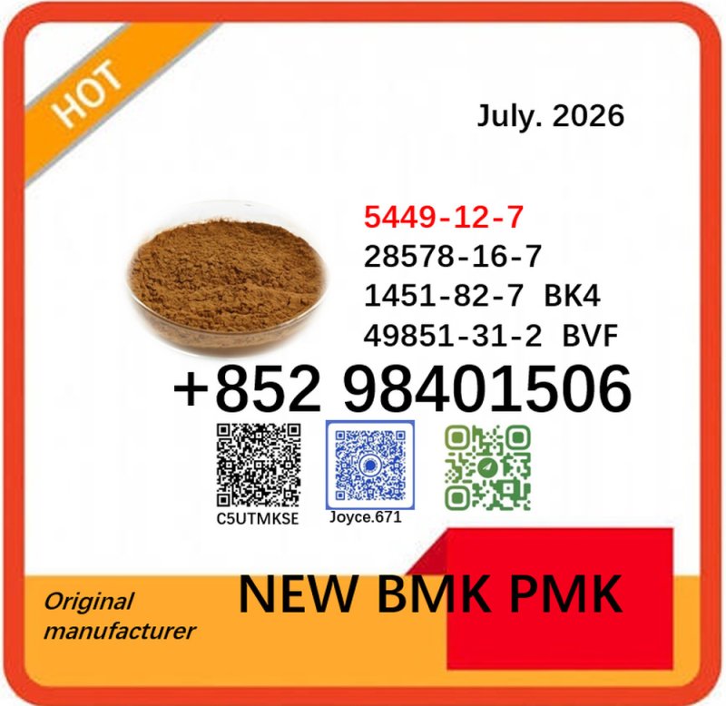 5449-12-7 cas 28578-16-7 BMK PMK powder ready to ship