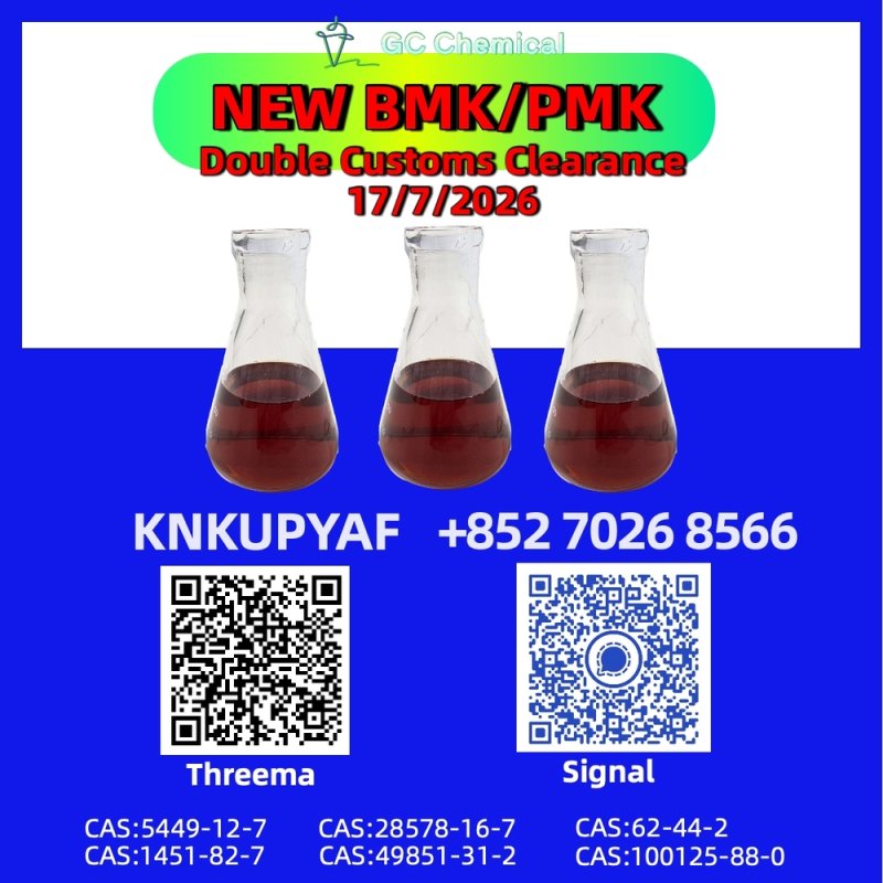 Ongoing evolution PMK Oil CAS 28578-16-7
