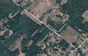 Eladó 1500 m2-es telkek Ladánybene külterületén!