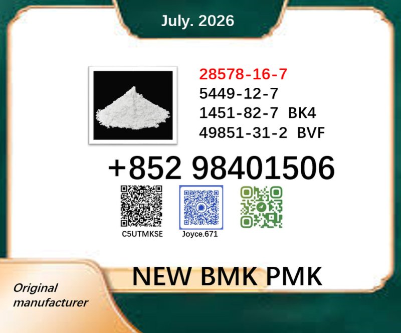 New PMK BMK 28578-16-7 cas 5449-12-7 powder 1451-82-7 and 49851-31-2 on sale