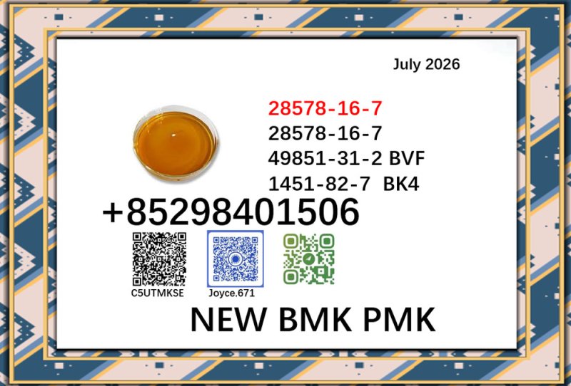 cas 28578-16-7 PMK BMK 5499-12-7 high purity for selling