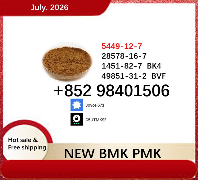 cas 5449-12-7 cas 28578-16-7 BMK 1451-82-7 support large order supply PMK powder 49851-31-2