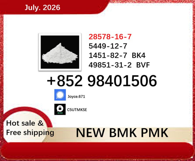 cas 5449-12-7 BMK PMK 28578-16-7 and 1451-82-7 large capacity in supply