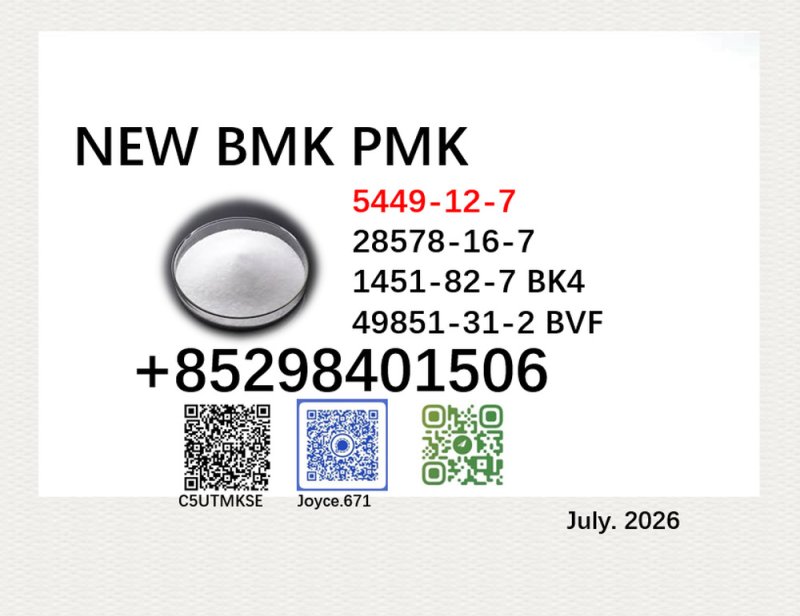 cas 5449-12-7 cas 28578-16-7 BMK 1451-82-7 PMK powder 49851-31-2 with large capacity
