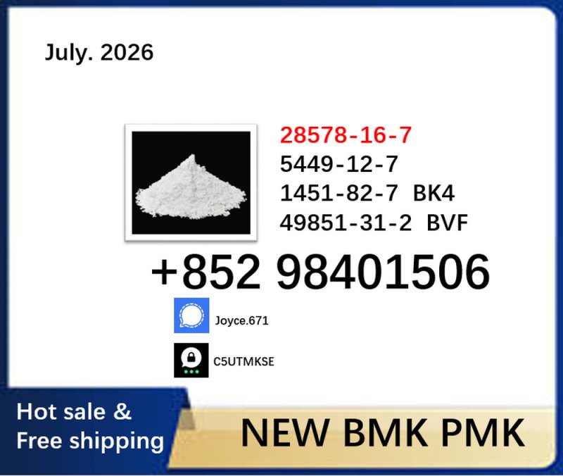 Hot selling 5449-12-7 BMK 28578-16-7 PMK oil powder chemical material
