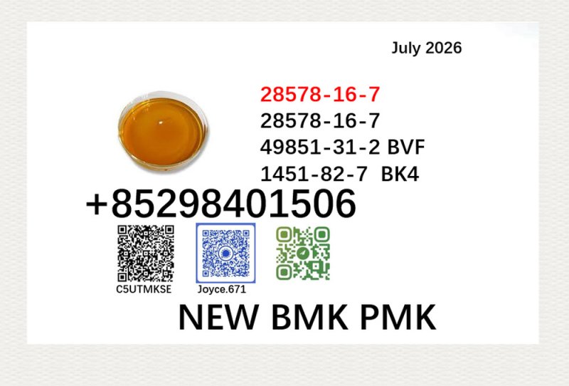 PMK cas 28578-16-7 oil and cas 5449-12-7 BMK in stock 1451-82-7