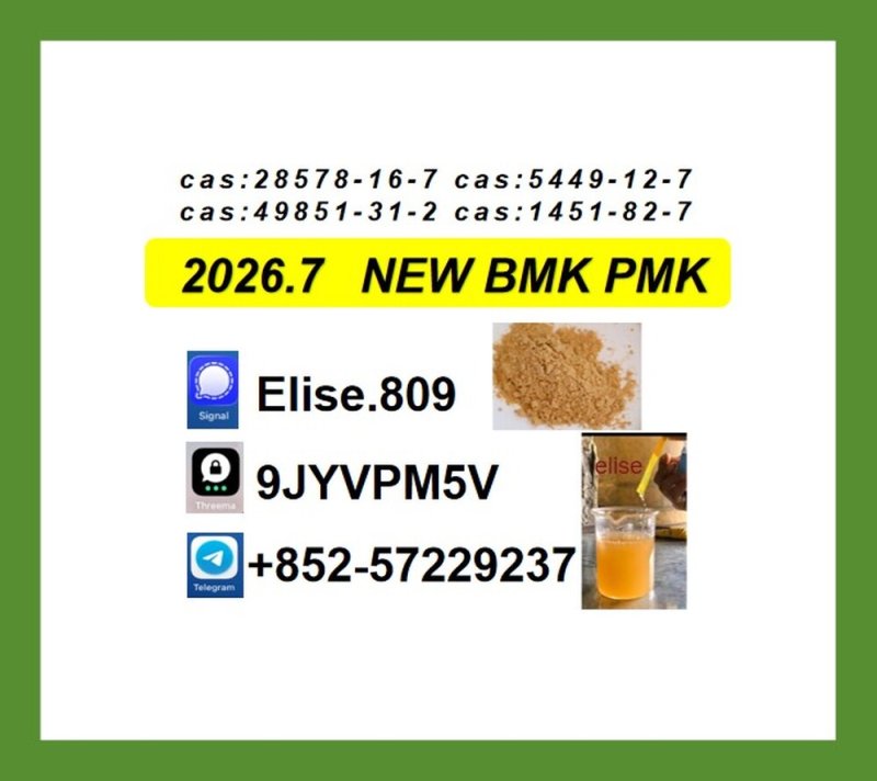Original Manufacturer PM.K Oil CAS 28578-16-7 Using B.MK Powder 5449-12-7
