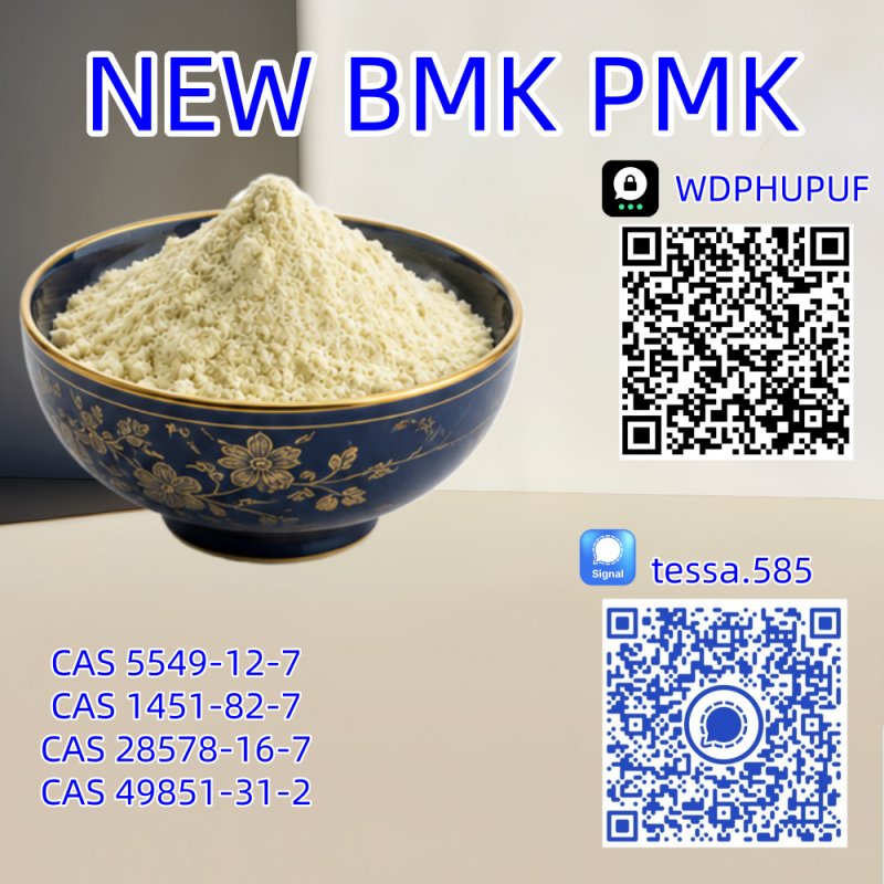 BMK Glycidic Acid Sodium Salt CA S 5449-12-7 | 99.9% High Purity Manufacturer & Bulk Supplier