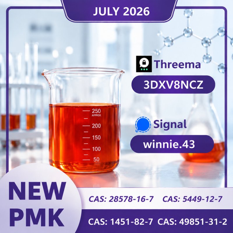 BMK Glycidic Acid Sodium Salt | CAS 5449-12-7 | Chemical Reference