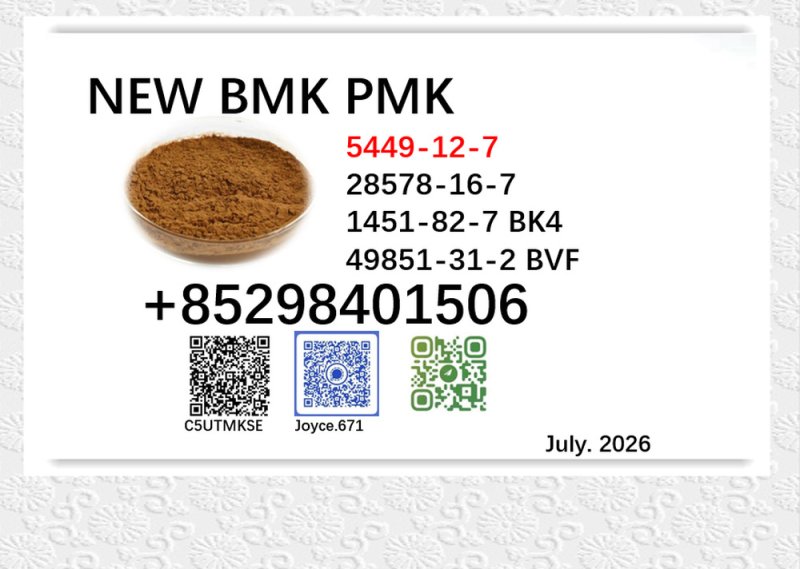 New batch CAS 5449-12-7 high quality 28578-16-7 BMK PMK supplier