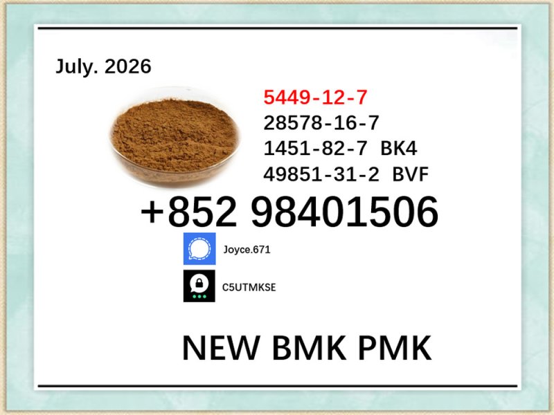 New PMK BMK 5449-12-7 hot sale 28578-16-7 ethyl glycidate production